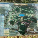 인천대공원(야외음악당 옆) 이미지