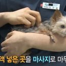 또또행복 이미지