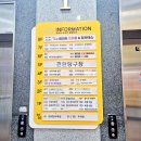 스타 빌리아드 이미지