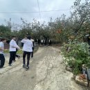 그집농장 이미지