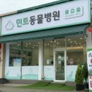 민트동물병원 | 경기광주 초월 동물병원 ‘민트동물병원’에서 길냥이 첫 건강검진과 기초접종