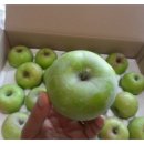 도연농원 이미지