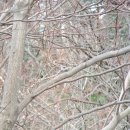 산새체육공원 이미지