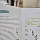 중학생 논술완성 이미지