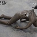 대용농장 이미지