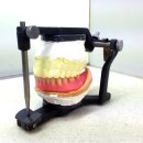 대신치과기공소 이미지