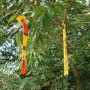 삼기주유소 이미지