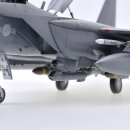 [REVELL] F-15E Strike Eagle(F-15K 2차 도입분) 이미지