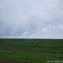 남부코스 네이버블로그