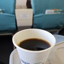 945 | [2024.11.08.] KE1410 PUS-ICN / KE945 ICN-FRA 탑승 후기