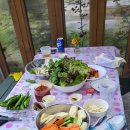 비발디 스케치북 이미지