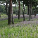 수원-0065 티스토리