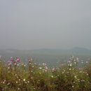 웅포곰개나루 이미지