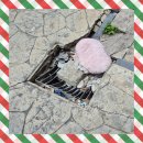 구로-현장-구로-2316 | 마곡 파손 트렌치 보강 교체 땅꺼짐 부분 보수 작업