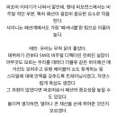 앤더슨씨 인스타 뉴진스 관련 글 보고 이미지