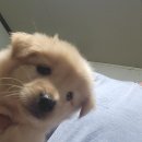 석근2길 이미지