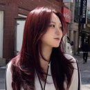 홍일지헤어 | 대전 궁동 미용실 염색 후기, 가성비까지 만족했던 곳