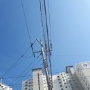 애니카랜드 낙양점 이미지