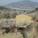 제 1,655차 [3월15일] 전남 구례군 쫓비산 매화꽃산행(536.5m) 산행안내 이미지