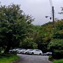 카페비 | 전남 화순 안양산 카페게이트 후기｜비 오는 날에도 만석이었던 연남라떼 카페