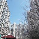 신한아파트 티스토리