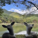 노루공원화장실 이미지