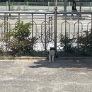 뽀끌래헤어샵 | [6-3] 지금 이 순간이 우리의 파도라면