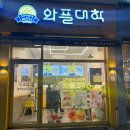 선운로 | 와플대학 신메뉴 두바이 와플 후기 칼로리 맛 가격