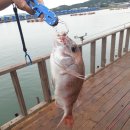 서신레저바다낚시터 이미지