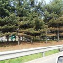 강릉충전소 이미지