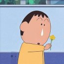 [야채이야기 못난이 와일드 루꼴라] 루꼴라 배송 후기