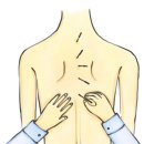 경희평생한의원 이미지