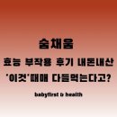 고려인삼건강원 | 숨채움 효능 성분 부작용 후기 내돈내산 경성건강원