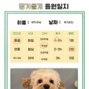 댕겨올개 이미지