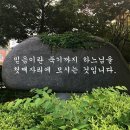 젤라 - 북구 | 젤라