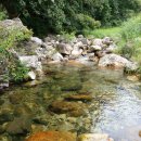 치악산자연휴양림 이미지