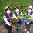 신화농장 이미지