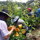 화양면사무소 이미지