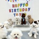 하이도기 이미지