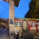 조형벤치(집) | (7)대만 타이베이 1박3일(용산사, 화시지예 야시장, 스린야시장, 공항으로)