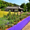 로얄타운 이미지