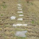 황림 묘 이미지