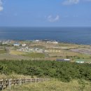 뽀요요민박 | 제주 2일차 | 우도 여행, 해비치호텔 패키지, 밤 수영