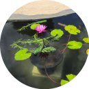 노포역 입구(2) | 부산 홍법사 순례 완벽 가이드