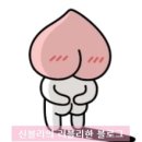 메이드메디코스 | 신블리 사용후기) 비앤진 미스트픽서 / 수분감 있는 메이크업 고정 픽서추천!