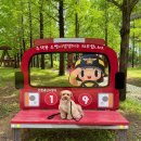 송진목장 이미지