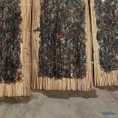 학림섬정보화마을 이미지