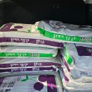 북광주농협 우치동지점 이미지