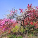 강변의 수채화 이미지