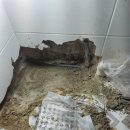 양지로·양지남로 이미지